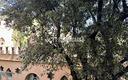 appartamento-a-bologna-1-locali