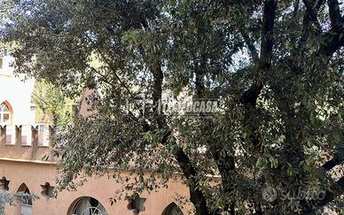 Appartamento a Bologna 1 locali