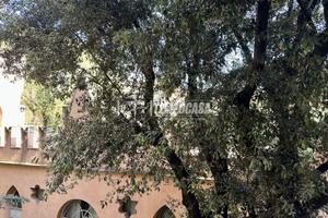 Appartamento a Bologna 1 locali