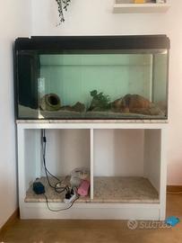 Acquario