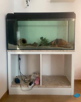 Acquario
