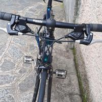 Bici bianchi camaleonte