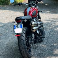 Triumph Street Scrambler 900 (Bello)