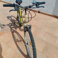 mountain bike 
