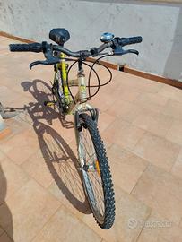 mountain bike 