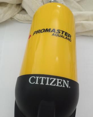 custodia Citizen 