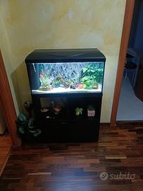 acquario 80 l
