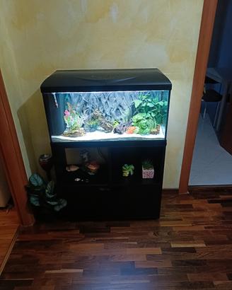acquario 80 l