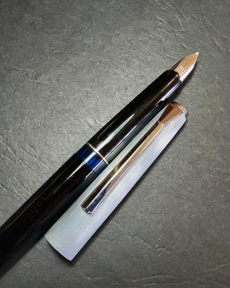 Pelikan 21 Silvexa Stilografica Vintage RARA HF