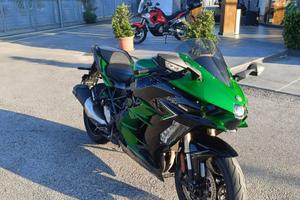Kawasaki Ninja H2 SX FF88094
