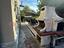 Immagine 27