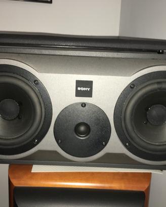 Casse Sony SS T 70 es