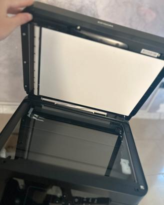 Stampante epson