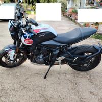 Trident Triumph 660 Tribute
