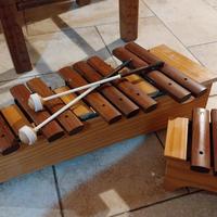 2 Xilofoni Honsuy Soprano Diatonico