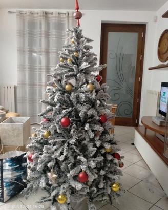 ALBERO DI NATALE