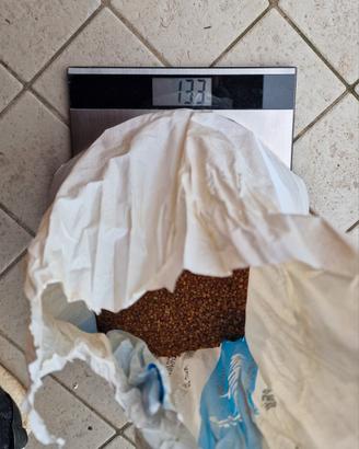 13 kg substrato e quarzo ceramizzato per acquario 