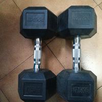 coppia manubri 17,5 kg mai utilizzati da palestra