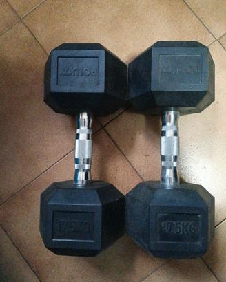 coppia manubri 17,5 kg mai utilizzati da palestra