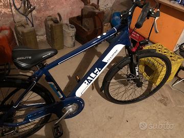 Bici elettrica