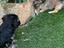 Immagine 5