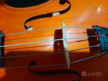 violino 