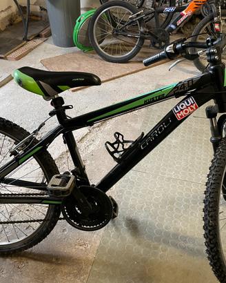 Bicicletta telaio acciaio
