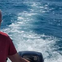 Mercury 15 CV GAMBO LUNGO