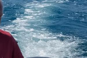 Mercury 15 CV GAMBO LUNGO