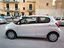 Immagine 12