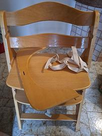 Sedia evolutiva hawck