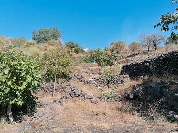 Frutteto e vigneto Terreno panoramicissimo