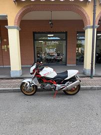 Cagiva Raptor 1000 A 1750€ OPERAZIONE 50%