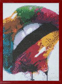 Quadro in diamond painting 5D