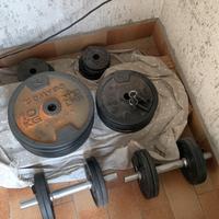 Palestra multifunzione e pesistica