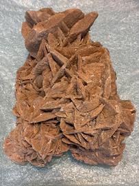 Rosa del deserto