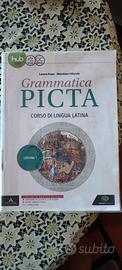 Pepe Biliardo PICTACirso di lingua latina Einaudi 
