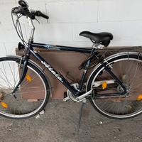 Bicicletta atala adulto