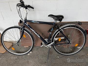 Bicicletta atala adulto