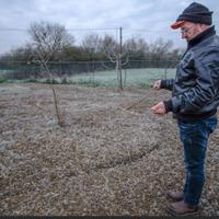 Pozzo idrico rabdomante