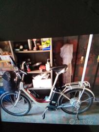bicicletta elettrica 