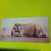 Foto su pannello di legno - Gregorio colbert