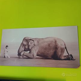 Foto su pannello di legno - Gregorio colbert