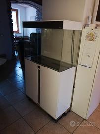 acquario askoll emotion 80 