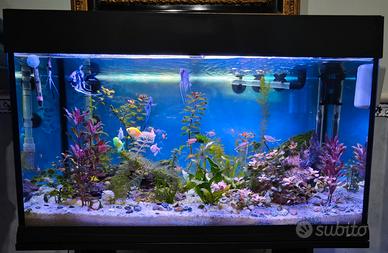 ACQUARIO 120 LITRI