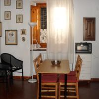 Monolocale luminoso in terra-tetto