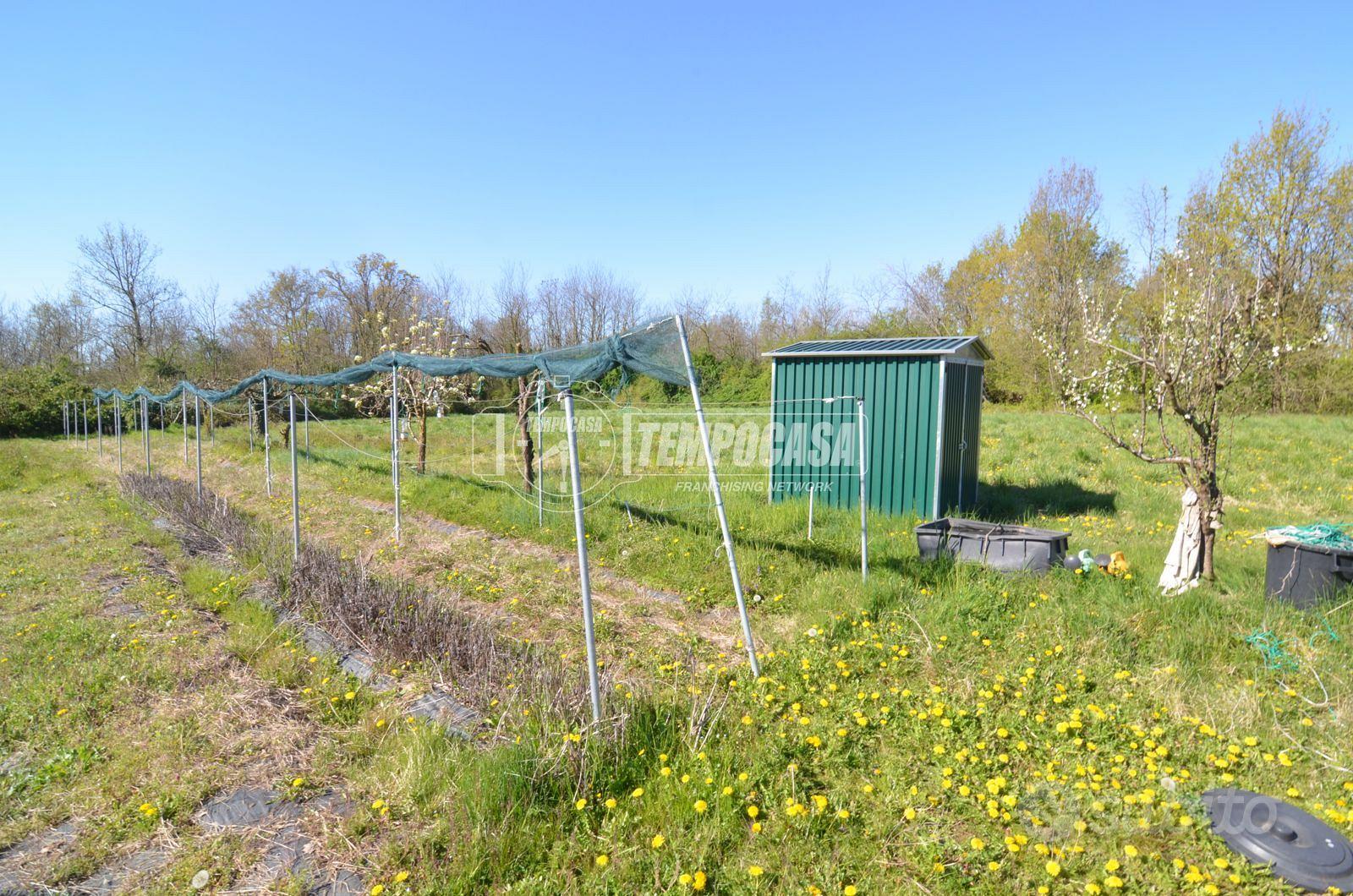 TERRENO AGRICOLO A RIVAROSSA - Vista 4