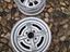 Immagine 1