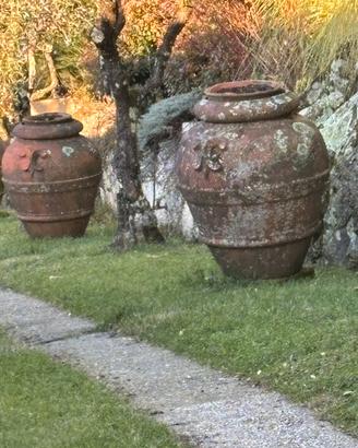 Orci cotto
