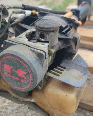 Kawasaki deciespugliatore ricambi 